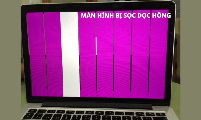 Màn hình laptop xuất hiện sọc dọc màu hồng