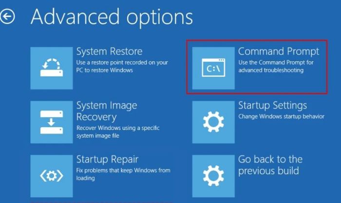 Trong cửa sổ Advanced Options, chọn Command Prompt