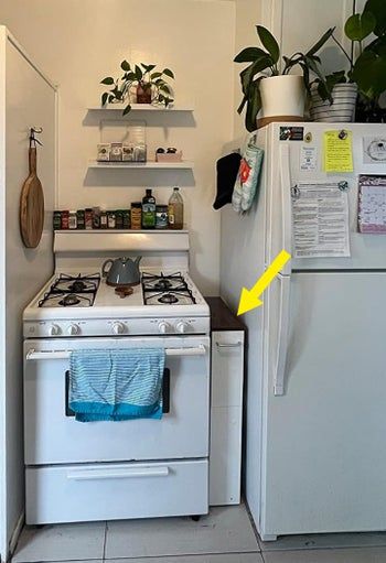 A cozy kitchen featuring a gas stove, fridge, and some plants. The shelves hold spices and bottles, creating a neat and functional cooking area.