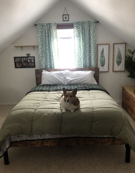 corgi lounging on a larger bed in a reviewer's bedroom
