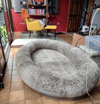 A spacious, comfy dog bed rests on the floor in a beautifully decorated living room featuring bookshelves, a yellow armchair, and other furniture. No people are present in the scene.