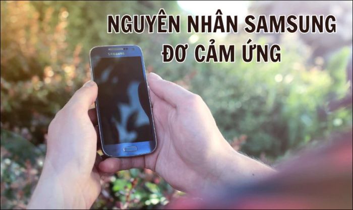 Các nguyên nhân khiến điện thoại Samsung bị lỗi đơ cảm ứng
