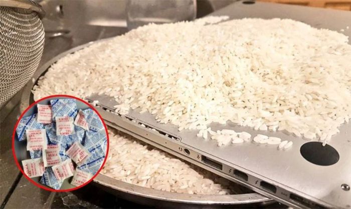 Bạn có thể hút ẩm màn hình