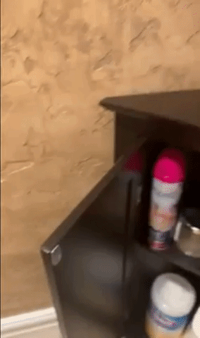 Reviewer video demonstrating the opening of the cabinet doors