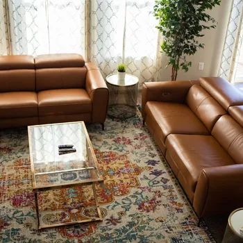 A living room featuring two brown leather sofas, a glass coffee table with magazines, a side table with a plant, and a patterned rug.
