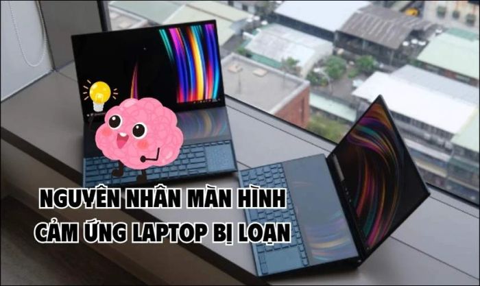 Màn hình cảm ứng laptop loạn do nguyên nhân gì?