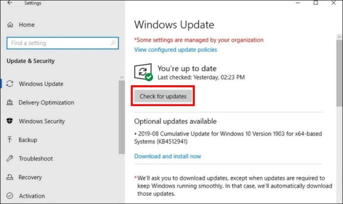 Nếu chưa có bản cập nhật nào, bạn hãy nhấn nút Check for updates
