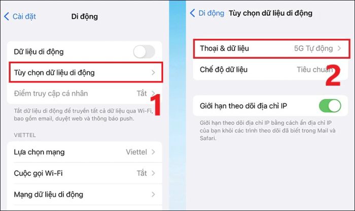 Nhấn vào Tùy chọn dữ liệu di động và chọn Thoại & dữ liệu