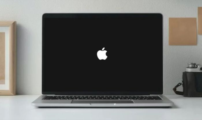 Giữ các phím cho đến khi logo Táo xuất hiện
