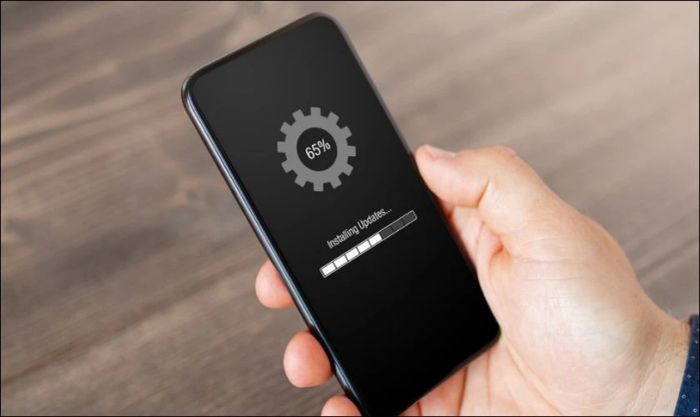 Cập nhật phần mềm khi điện thoại Vsmart không thể khởi động