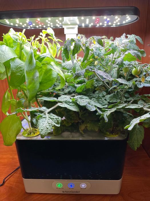 An AeroGarden system growing a variety of herbs and plants under an LED light panel indoors.