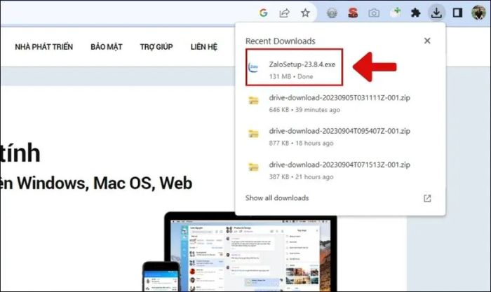 Chọn biểu tượng Downloads trên Chrome