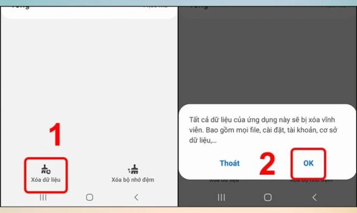 Nhấn vào Xóa dữ liệu và xác nhận bằng cách chọn OK