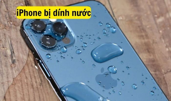 Nguyên nhân gây lỗi sọc màn hình trên iPhone 13 Pro Max