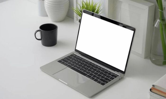 Lỗi màn hình laptop trắng
