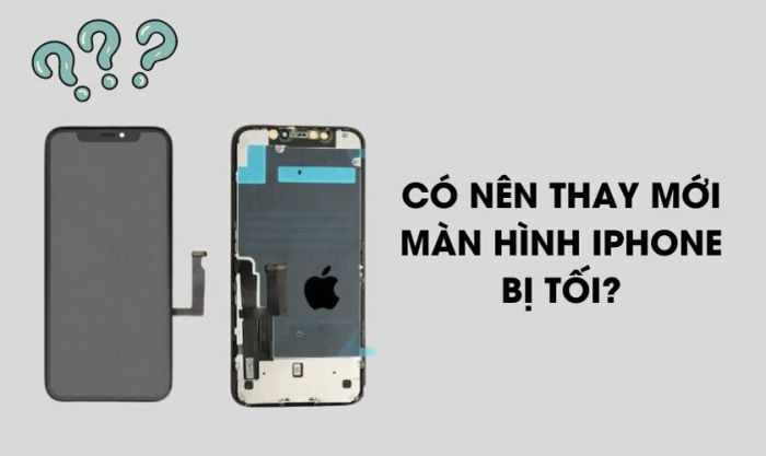 Có nên thay màn hình khi màn hình iPhone 11 bị tối đen?