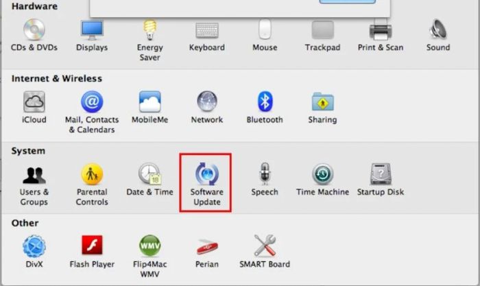 Kiểm tra và cập nhật phần mềm để khắc phục tình trạng màn hình ám xanh trên MacBook