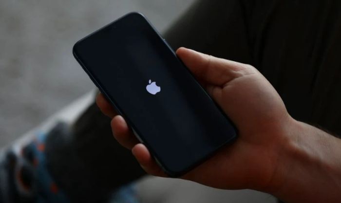 Các mẹo để không bị lỗi đơ màn hình iPhone 11