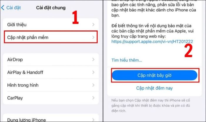 Chọn Cập nhật phần mềm và nhấn Cập nhật ngay
