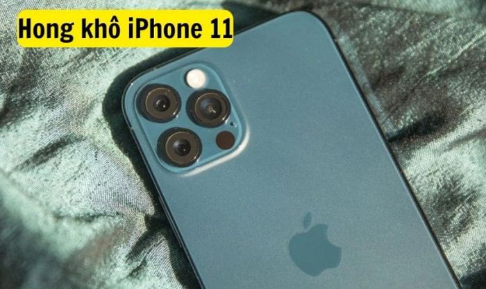 Cách hong khô iPhone 11 bị loạn cảm ứng
