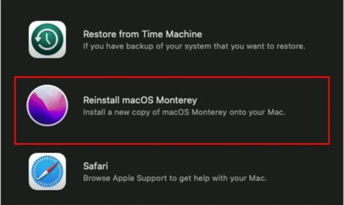 Chọn mục Reinstall MacOS Monterey để cài lại hệ điều hành