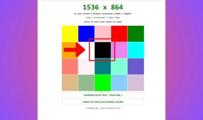 Truy cập web My Screen Checker và chọn màu đen