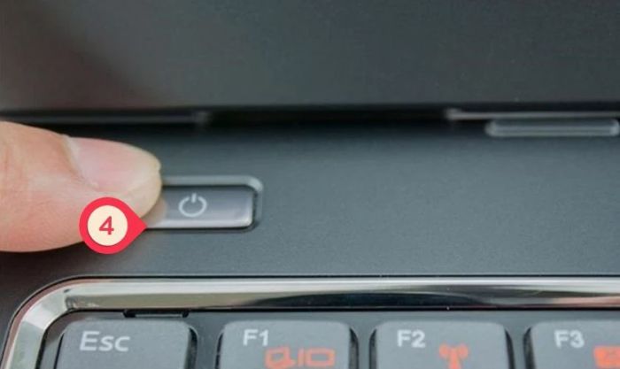 Để màn hình khô ráo và lắp lại vào laptop