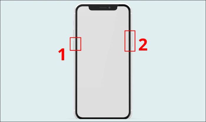 Tiếp tục giữ Nút giảm âm lượng và Nút nguồn trong 3 giây