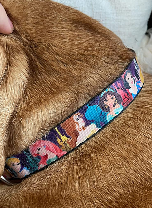 A pet collar adorned with various Disney Princesses