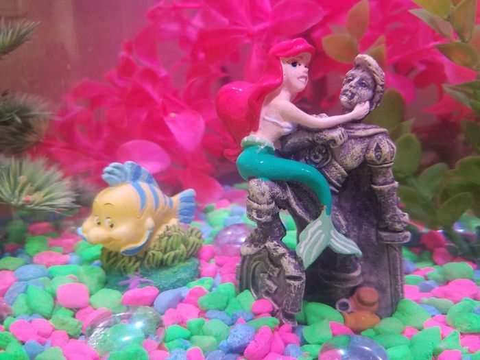 A Flounder ornament displayed in a reviewer's aquarium