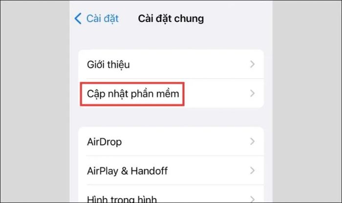 Tiếp theo, bạn chọn Cập nhật phần mềm