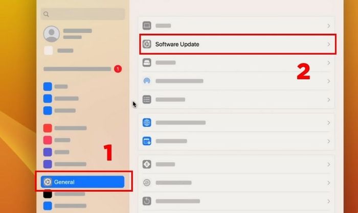 Nhấp vào General và chọn Software Update