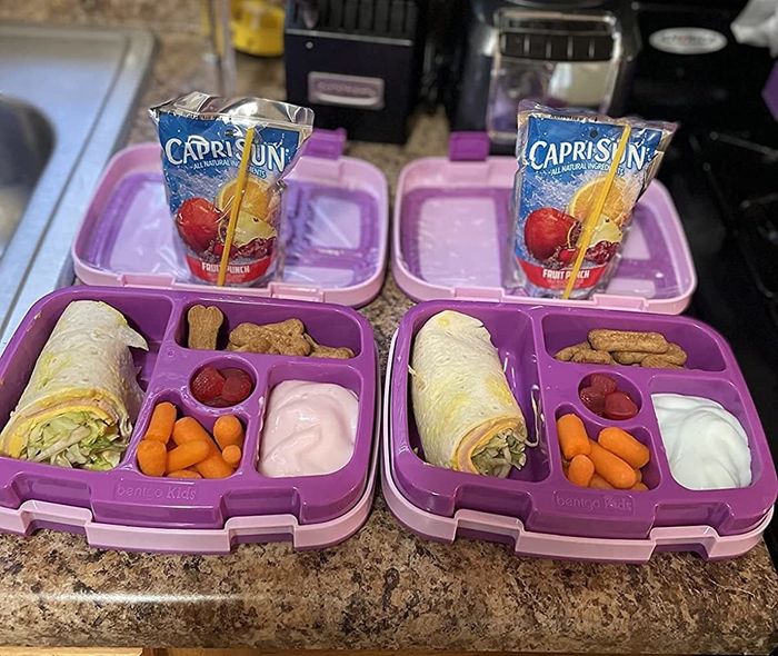 A reviewer’s two purple bento boxes
