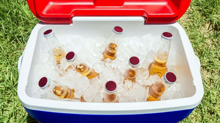 An additional cooler (with ice)