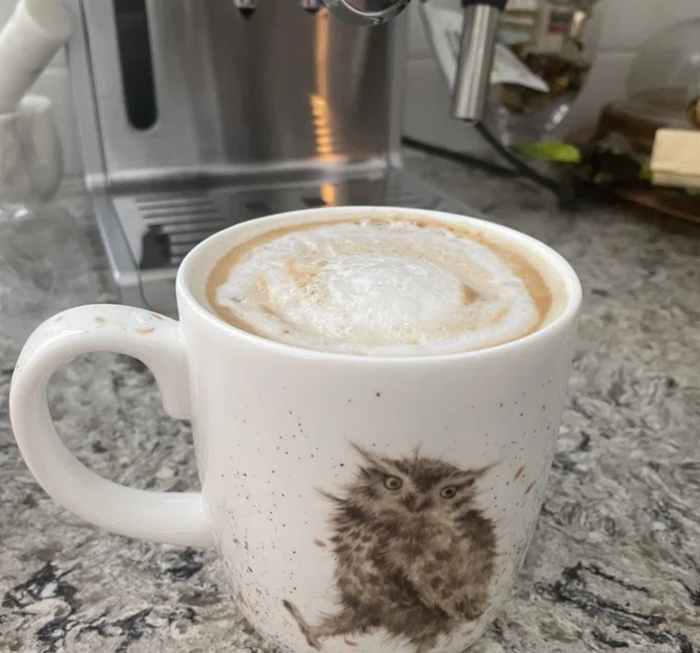 A coffee mug featuring an owl design, filled with creamy frothy coffee, placed on a countertop next to a coffee machine.