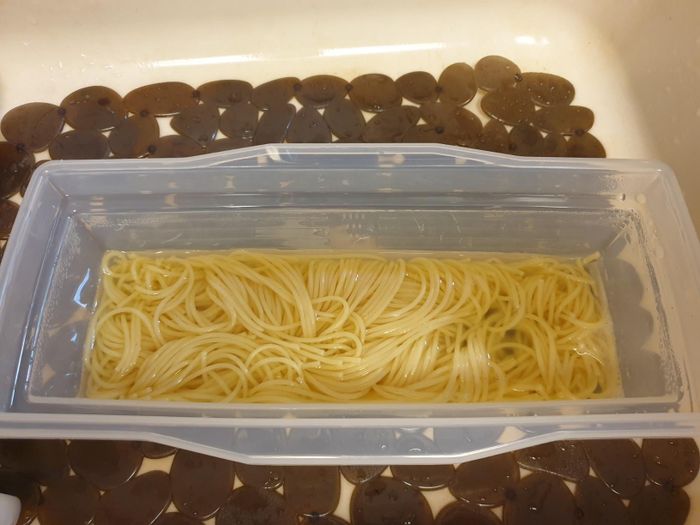 The pasta cooker after microwaving, now filled with perfectly cooked pasta noodles