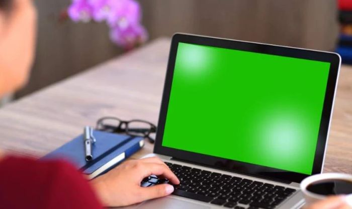 Màn hình laptop bị đốm sáng