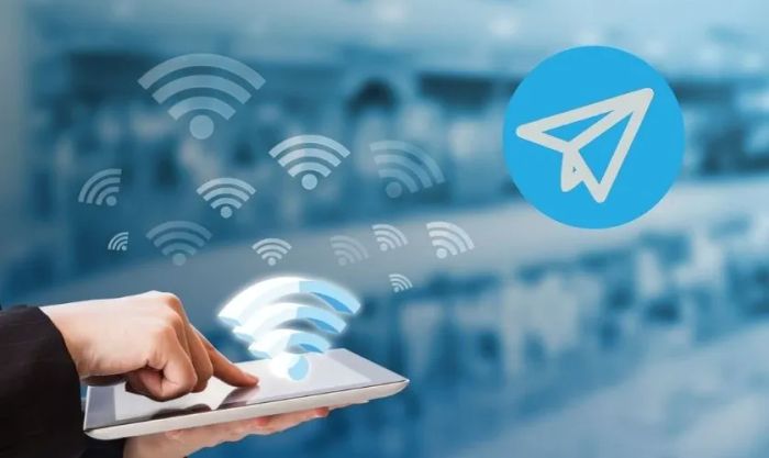 Kiểm tra lại kết nối WiFi và mạng điện thoại của bạn