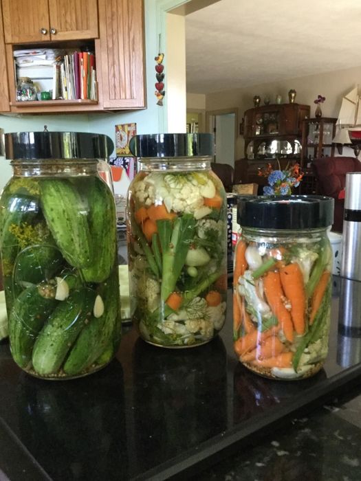 Three jars of varying sizes, each containing different vegetables fermenting inside