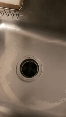 Reviewer gif showing garbage disposal cleaner foaming up