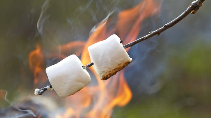 Upgrade Your S'mores Experience: Marshmallows Stuffed with Chocolate Chips