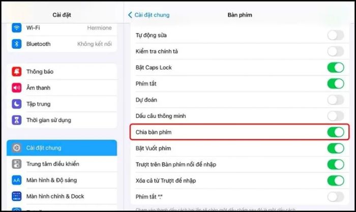 Tại sao bàn phím trên iPad lại bị thu nhỏ?