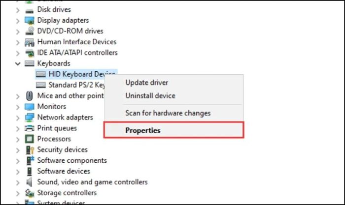 Trong mục Keyboard, nhấn chuột phải vào HID Keyboard Device