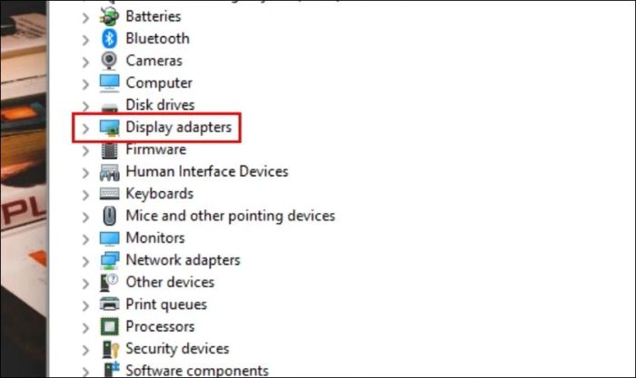 Chọn mục Display Adapters