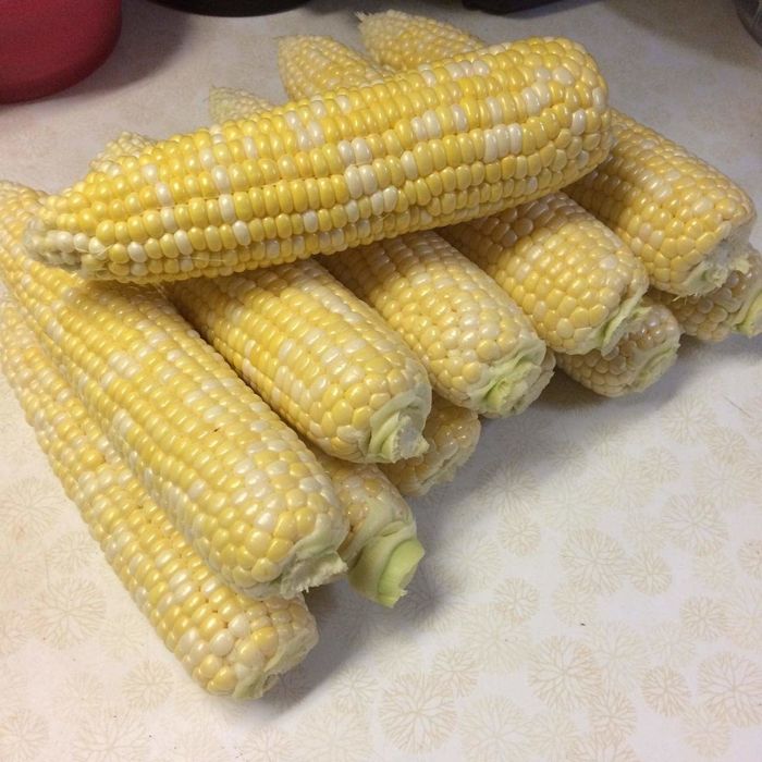Corn before using the stripper tool