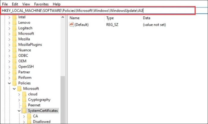 Trên thanh địa chỉ của Registry Editor, dán đường dẫn này vào HKEY_LOCAL_MACHINE\SOFTWARE\Policies\Microsoft\Windows\WindowsUpdate\AU rồi nhấn Enter