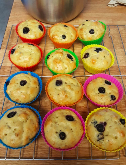 Muffins displayed in a variety of colorful reusable muffin tins