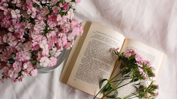 Hình ảnh hoa rực rỡ và ấn tượng