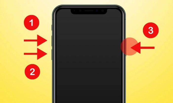 Nhấn các phím để đưa iPhone vào chế độ DFU khi sử dụng FaceID