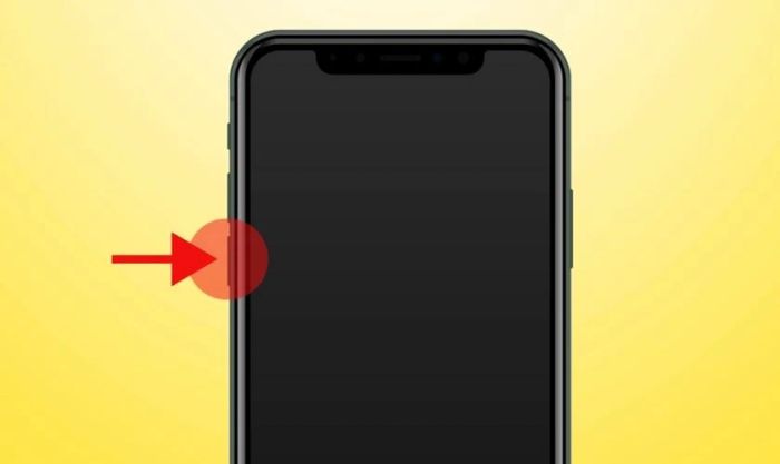 Thả nút Nguồn và tiếp tục giữ nút Giảm âm lượng để đưa iPhone vào chế độ DFU bằng FaceID